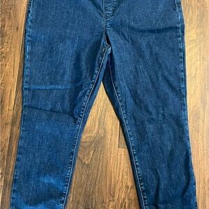 Reitmans Blue Pull-On Jeggings Classic Style